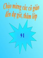 Bài 15 Thương mai - Du lịch