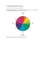 Lý thuyết màu( tiếp theo).