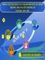 bai 12 - tiet 12 sinh hoc 9