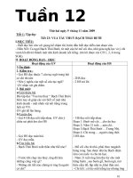 GA chuẩn lớp 4 tuần 12