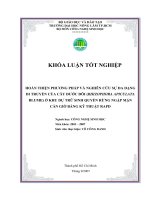 HOÀN THIỆN PHƢƠNG PHÁP VÀ NGHIÊN CỨU SỰ ĐA DẠNG DI TRUYỀN CỦA CÂY ĐƢỚC ĐÔI (RHIZOPHORA APICULATA BLUME) Ở KHU DỰ TRỮ SINH QUYỂN RỪNG NGẬP MẶN CẦN GIỜ BẰNG KỸ THUẬT RAPD
