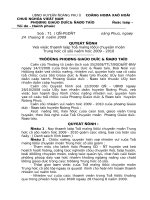 Quyết định thành lập Tổ mạng lưới chuyên môn năm học 2009 - 2010