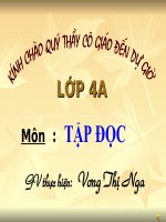 Doi giay ba ta mau xanh kì 1.ppt