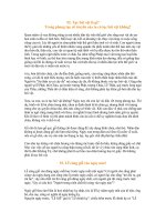 PHONG TUC VN - LE, TET