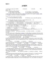 amin dạy phụ đạo  nè