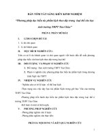 Tóm tắt SKKN- Đỗ Hạnh 2009