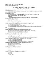 Đề thi GHKI Tiếng Việt lớp 5 CKTKN