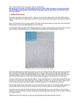 HIV/AIDS VÀ NỔI ĐAU CỦA PHỤ NỮ...