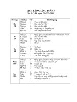 Giáo án lớp 2-Tuần 3,4-CKTKN-2010-2011