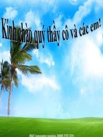 HAY CUC- yeu thien nhien song hoa hop voi thiên nhiên