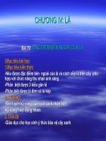 ĐĂC ĐIỂM BÊN NGOÀI CỦA LÁ