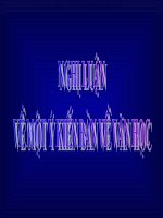 Nghi luan ve mot y kien ban luan VH