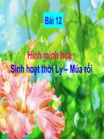 Bài  12 - Hình minh hoạ - Sinh hoạt thời Lý : Múa rối