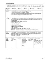 Hoạt động góc tuần 4