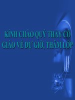 BẢO VỆ DI SẢN VĂN HÓA