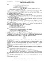 de thi hoc sinh gioi van 9