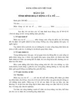 Báo cáo Tổ Đảng cơ sở