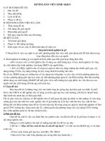 HƯỚNG DẪN VIẾT GPHI-SKKN