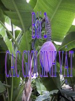 bài 2 - Các giới sinh vật