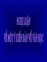 Nghị luận về một ý kiến văn học