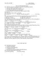 các chuyên đề phần điện