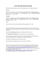 Code chèn hình ảnh 2 bên trang Blog