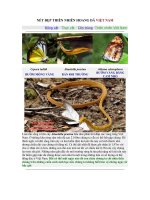 NÉT ĐẸP THIÊN NHIÊN HOANG DÃ VIỆT NAM.doc