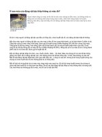 Mau dong vart bac thap