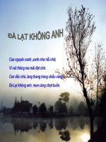 Đà Lạt không anh