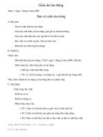 Giáo án Lao động 6