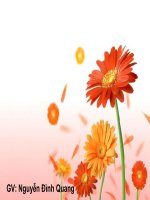 Nguyên tử (09-10)