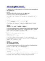 What are the phrasal verbs?