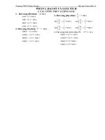 Đề cương toán 11