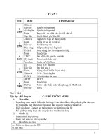 GA Lớp 3 Theo CKT-KN