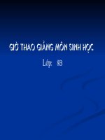 bai thao giang tiet 13 s8