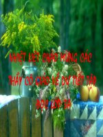 lop 3- ông ngoại -