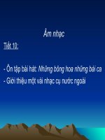 Những bông hoa những bài ca
