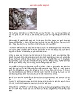 NGUYÊN MẪU NHÂN VẬT THỊ NỞ