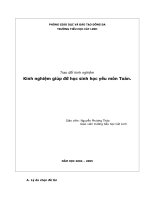 SKNguyen Phuong Thao.doc