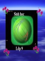 chương II- nhiễm sắc thể