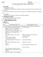 hoa 9( 4 cột) đồng tháp