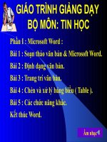 giáo án tin học Microsof word