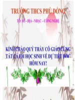 Tiết 27. Bài 18. NƯỚC MĨ GIỮA HAI CUỘC CHIẾN TRANH THẾ GIỚI