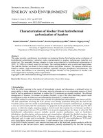 Characterization of biochar from hydrothermal carbonization of bamboo