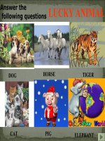 Unit 2: Small Talks ( New)