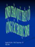 tiét 48 luyen tap  dai so 7