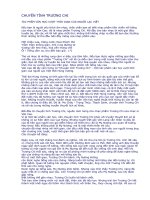 CHUYỆN TÌNH TRƯƠNG CHI