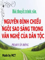 nguyển đình chiểu ngôi sao sáng trong văn nghệ của dân tộc