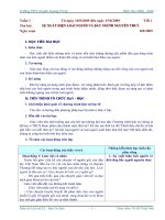 Giáo án Lịch sử 10 - Ban Cơ bản - HKI