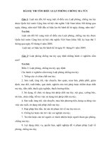 Bài dự thi ma túy năm 2009